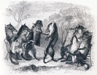 Der Fuchs mit dem abgeschnittenen Schwanz