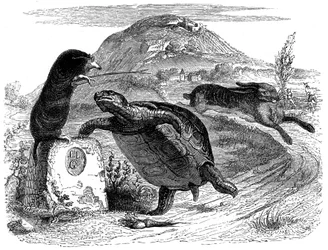 Der Hase und die Schildkröte: Fabel von La Fontaine, illustriert von Grandville
