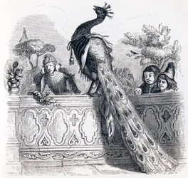 Der Pfau, der sich bei Juno beschwert - Fabeln von La Fontaine