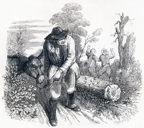 Die Diebe und der Esel - Fabeln von La Fontaine
