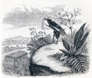 Die Zecke und die Fliege - Fabeln von La Fontaine