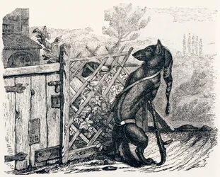 Der Wolf und der magere Hund - Fabeln von La Fontaine