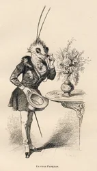 Ein alter Schmetterling, der mit seiner Brille auf die Uhr schaut. Vignetten illustriert von JJ Granville. Gravur signiert von Breviere im Teil "Die Abenteuer eines Schmetterlings" geschrieben von PJ Stahl in "Szenen aus dem privaten und öffentlichen Leben