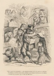 Hier ist, was gerade erschienen ist. Katze und Vogel verkaufen das vorliegende Buch für sechs Sous. Illustrierte Vignetten von JJ Granville. Gravur signiert Andrew, Best und Leloir im Prolog "Parlamentarische Zusammenfassung" geschrieben von PJ Stahl in "S