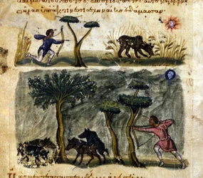 Wildschweinjagd nach dem griechischen Manuskript von Oppianus De Venatione. 13. Jahrhundert