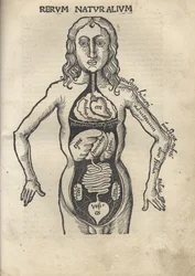 Margarita Philosophica. Anatomie, 1504