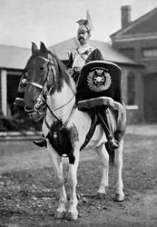 Das Trommelpferd der 17. Lancers, 1896
