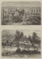 Der Krieg auf der Krim