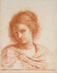 Kopf einer jungen Frau, 1550-1666