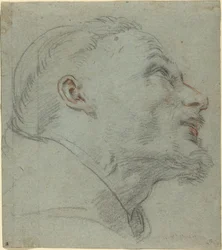 Kopf des Heiligen Franziskus