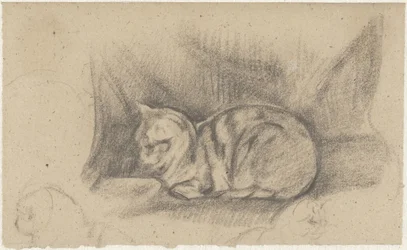 Liegende Katze nach links