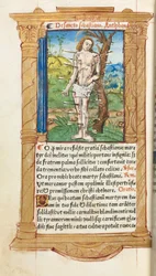 Gedrucktes Stundenbuch Gebrauch von Rom: fol. 102v, St. Sebastian