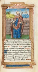 Gedrucktes Stundenbuch Gebrauch von Rom: fol. 99r, St. Peter, 1510