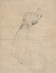 Studie eines Arms (verso)