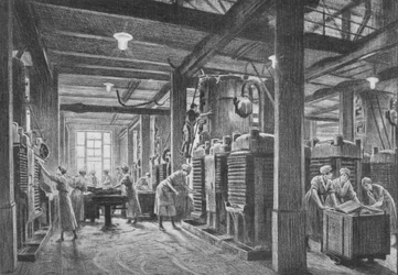 Eine moderne Ölsaaten-Zerkleinerungsanlage, ca. 1918
