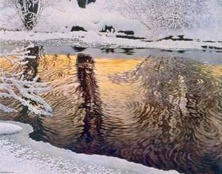 Frost