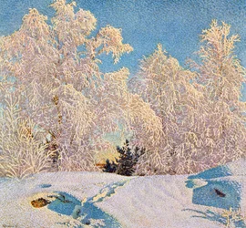 Frost im Sonnenschein