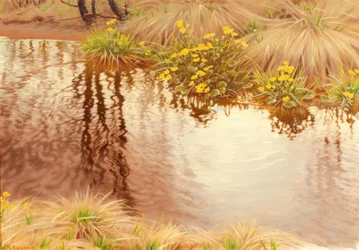Sommerliche Uferlandschaft