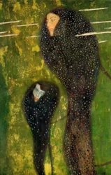 Nymphen (Silberfische)