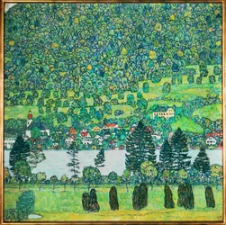 Hang in einem Wald am Attersee