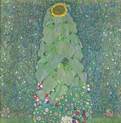 Sonnenblume, 1907-1908
