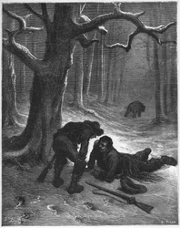 Der Bär und die Reisenden - aus 