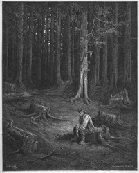 Der Wald und der Holzfäller - aus 