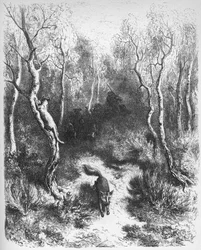 Der Fuchs und die Katze - aus 