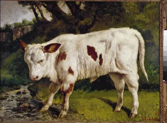 Das Kalb