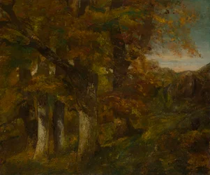 Waldlandschaft