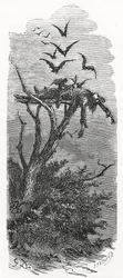 Eine keltische Himmelsbestattung, 1866