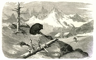 Gravur von Gustave Doré, die das Buch „Reise in die Pyrenäen“ von Hippolyte Taine, Hachette 1860, illustriert. Ein Bär beobachtet einen Mann, der auf sein Haus in den Bergen zugeht.