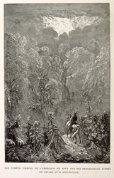 Illustration des amerikanischen Waldes. aus La legende de Croque-Mitaine.
