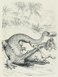 „Die Abenteuer des Baron von Münchhausen“: Der furchtlose Baron von Münchhausen, verfolgt von einem Löwen, kreuzt den Weg eines riesigen Krokodils, das den Löwen verschlingen wird. Illustration von Gustave Doré Ende des 19. Jahrhunderts