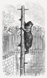 Die Bärenhöhle - Zoologische Gärten (1872)
