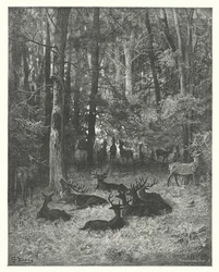 Die Fabeln von La Fontaine: Der kranke Hirsch (Gravur)