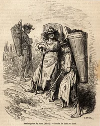 Die Pflücker von Xeres. Zeichnung von Gustave Dore (1832-1883) zur Illustration seiner Reise nach Spanien im Jahr 1862 mit Ch. Davillier. Gravur in 