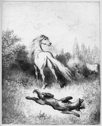 Das Pferd und der Wolf - aus "Fabeln" von Jean de La Fontaine
