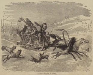Wolfsjagd in Russland