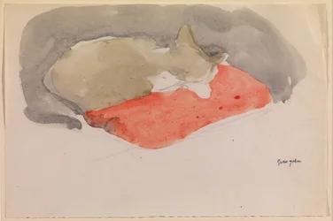 Schlafende Katze auf einem roten Kissen