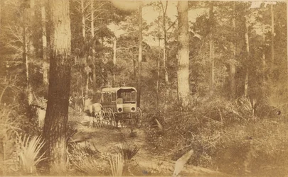 Szene auf Folly Island