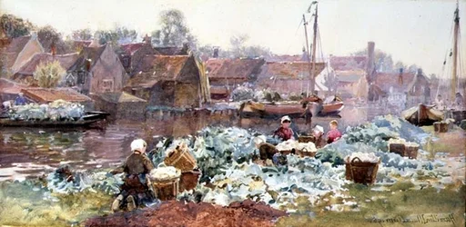 Blumenkohl zum Einlegen