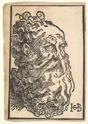 Kopf eines bärtigen Mannes, ca. 1518-19