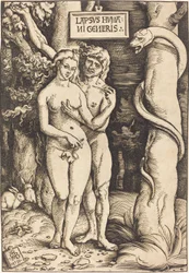 Adam und Eva, 1511