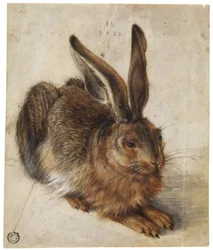 Ein Hase