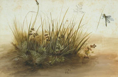 Ein kleines Rasenstück, 1584