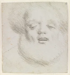 Kopf eines bärtigen Mannes en face von unten gesehen