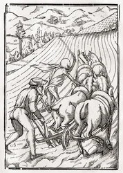 Der Tod kommt für den Bauern oder Landwirt, graviert von Georg Scharffenberg, aus 