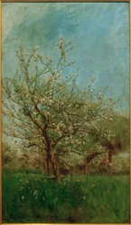 Blütenbäume Uerdenbach