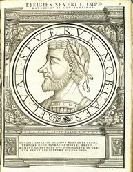 Seuerus D, Illustration aus 